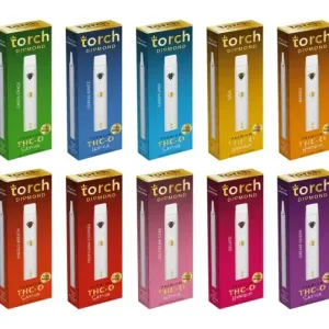 Torch Disposables