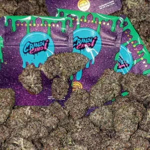 Grandi Candi Strain