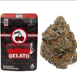 Black Cherry Gelato | Backpackboyz