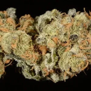 Girl scout cookies