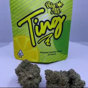 Ting Strain Big Al’s Exotics