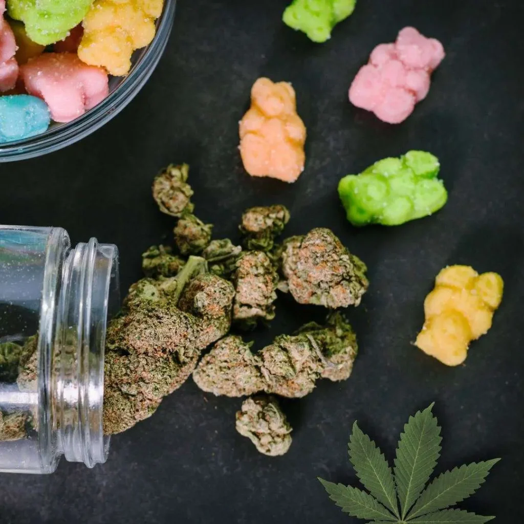 Pediatric Edible Cannabis jpg 1024x1024